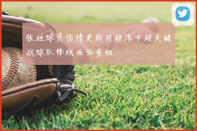 张姓球员伤情更新将缺席中超关键战球队锋线面临重组
